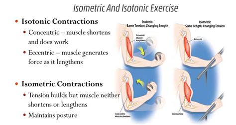 What Is The Difference Between Isotonic Exercises And Isometric