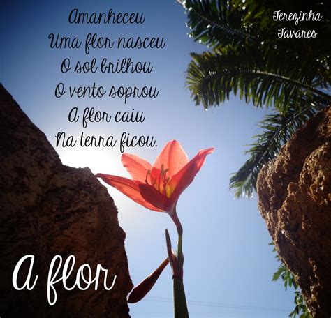 Top 180 Poema A Flor Anmbmx