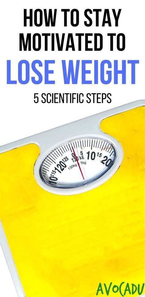 How To Stay Motivated To Lose Weight Weight Loss Tips Lose Weight
