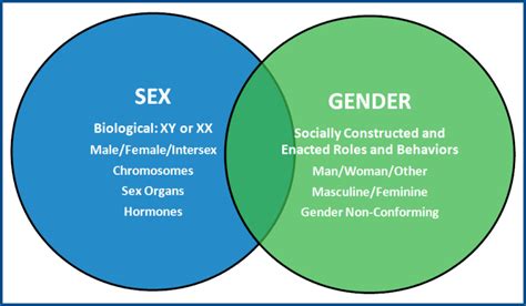 Sex And Gender Health Collaborative American Medical Women S Association