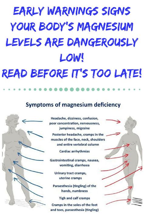 early warnings signs your body s magnesium levels are dangerously low read before it s too late