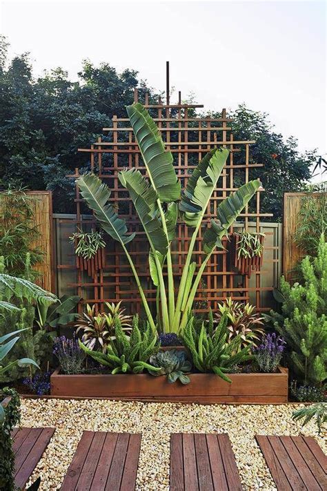 An Outdoor Garden With Lots Of Plants And Wooden Boards On The Ground