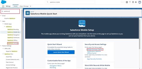 Configure Mobile Browser Options On Salesforce1 Sms Magic Salesforce