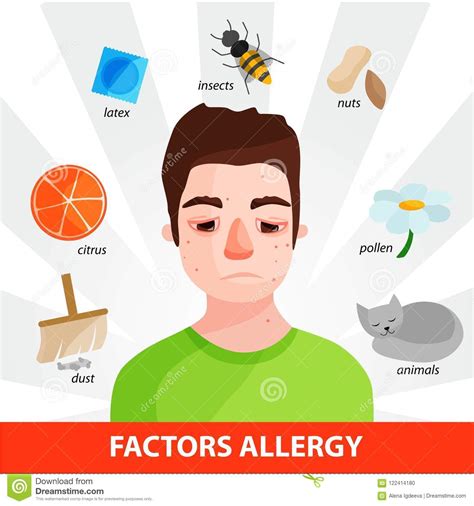 Allergy Infographic Stock Illustration Illustration Of Vector 122414180