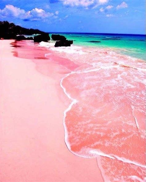 Pink Sands Beach In The Bahamas Places To Go Vacation Spots Places