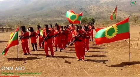Wallee Hawwisoo Wbo Adoolessa 16 2022 Qeerroo Bilisummaa Oromoo