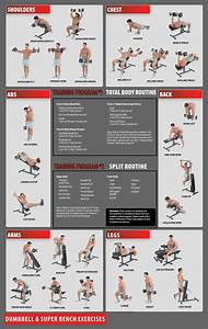 A Poster Showing The Different Types Of Exercise Equipment For People