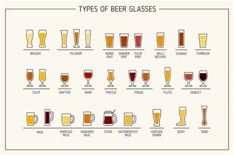 The 11 Types Of Beer Glasses The Definitive Beer Glassware Guide Bartending Barista