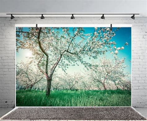 Leyiyi 7x5ft Photography Background Peach Flower Blossom