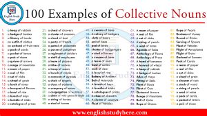 100 Examples Of Collective Nouns English Study Here