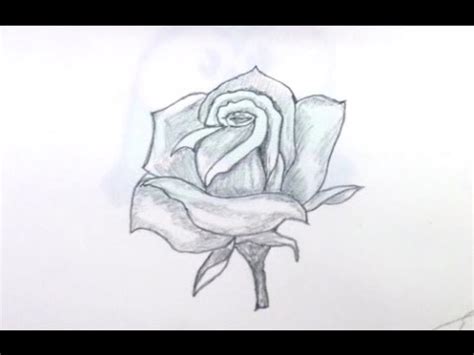 This step is similar to the previous step. How To Draw Rose Step By Step For Beginners - YouTube
