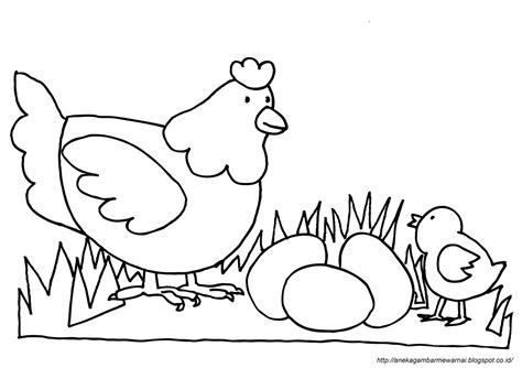 Gambar Ayam Untuk Mewarnai Anak Paud Markotop