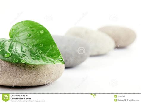 Zen Stones With Leaf Stock Photo Image Of Bright Calmness 14934416