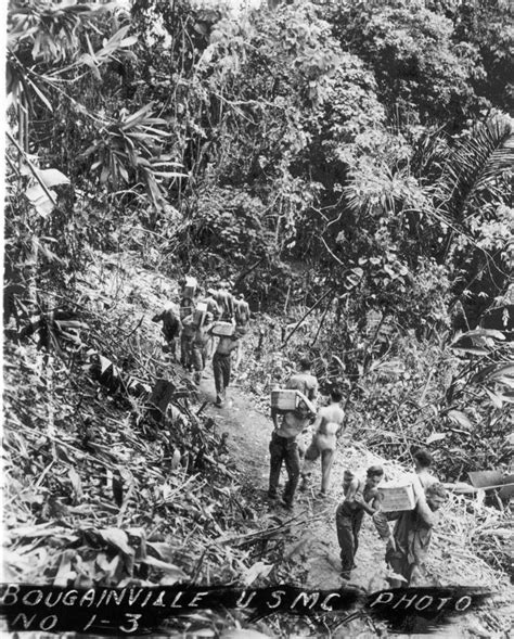[photo] us marines bougainville solomon islands 1943 1944 world war ii database