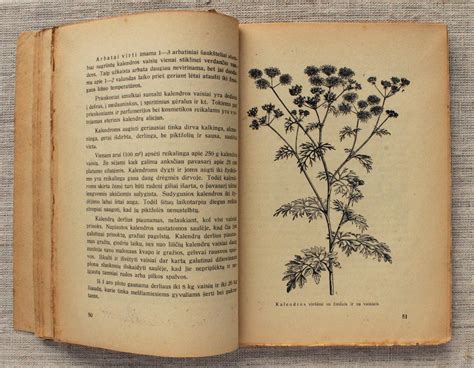 Vintage Botany Book With Illustrations Medicinal Woody Plants Of