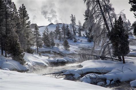 snowy winter at firehole river usa wyoming yellowstone national park free image download