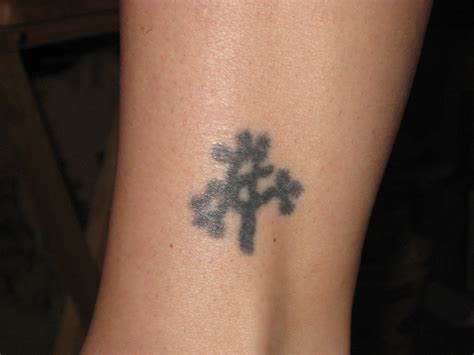 My Joshua Tree Tattoo M3li55 Flickr