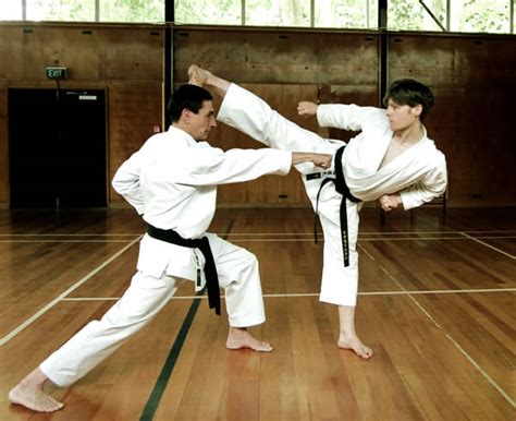 You can' t practice one without the other, to be a good karateka. Karate — Encyclopedia of Japan