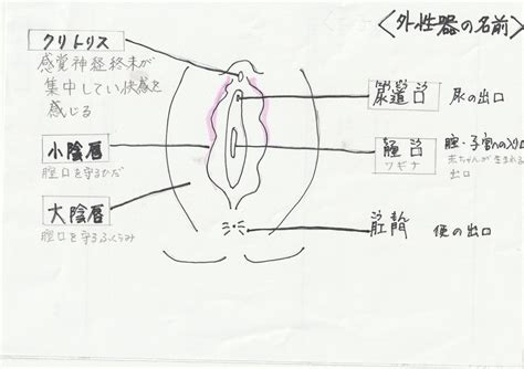 女性外性器（外陰部）の洗い方 ゆいクリニック 沖縄市の産婦人科
