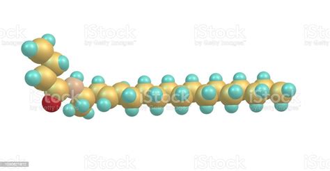 Ceramide Molecular Structure Isolated On White Stock Photo Download