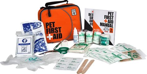 Dog First Aid For Camping Common Injuries And Treatments Diy Dog First