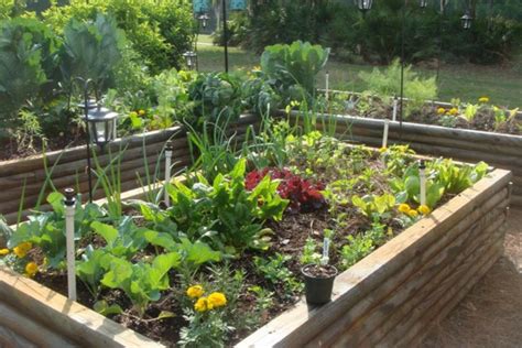 We did not find results for: Garten selbst gestalten ist gar nicht so kompliziert!