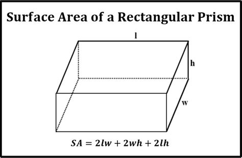 Rectangular Surface Area Hot Sex Picture