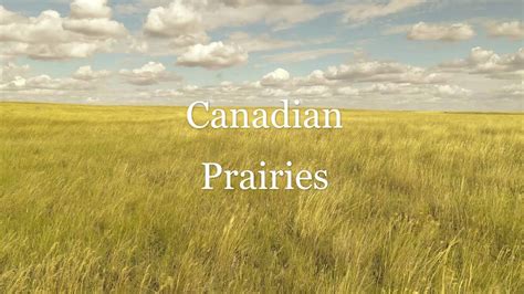 Canadian Prairies - Saskatchewan | Drone 4k - YouTube