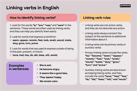 Linking Verbs Promova Grammar