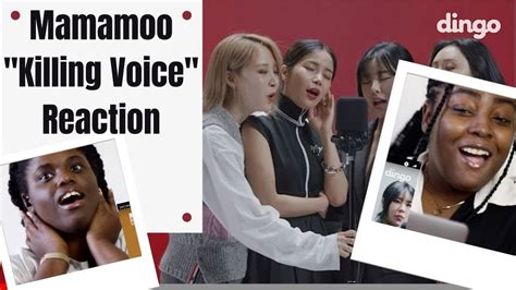 Mamamoo Killing Voice Dingo Music Jamaican Reaction First Time