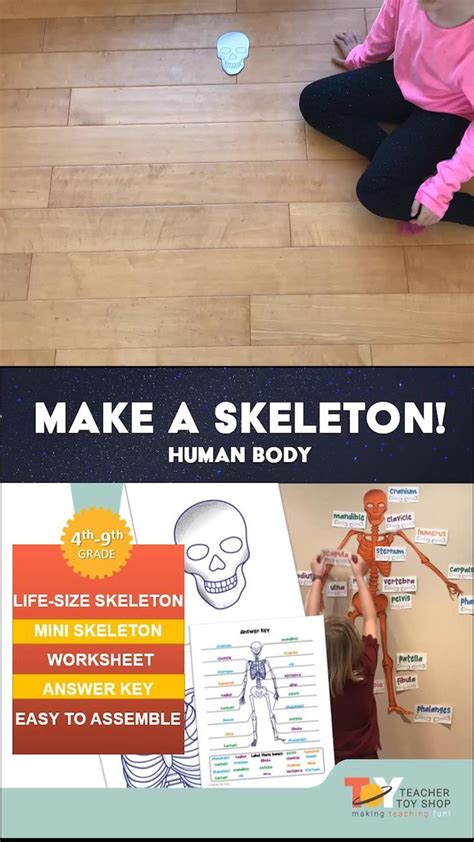 Life Size Printable Skeleton With Labels Plus Mini Skeleton And More