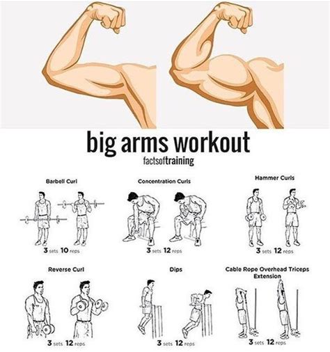 Workout Chart Showing How To Get Huge Arms Big Arm Workout Arm