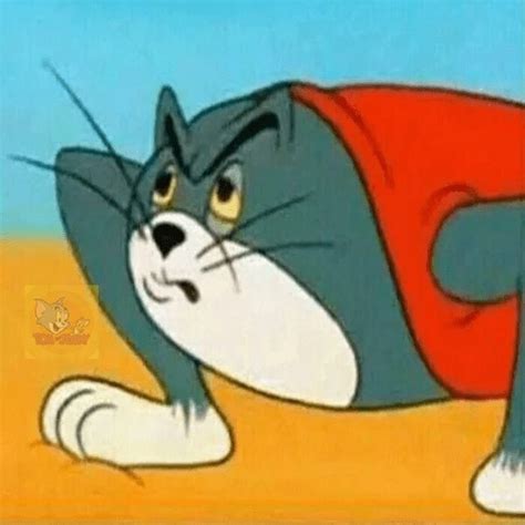 The basic premise for the cartoon consists of tom attempting to capture and eat jerry, who frequently outsmarts, humiliates and physically harms tom. Create meme "cat Tom and Jerry meme, tom and jerry meme ...