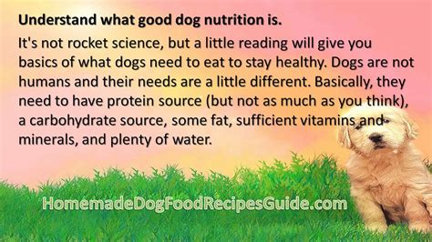 Control canine diabetes with a low glycemic dog food, made with love. Dog Food Recipes for Diabetic Dogs - YouTube
