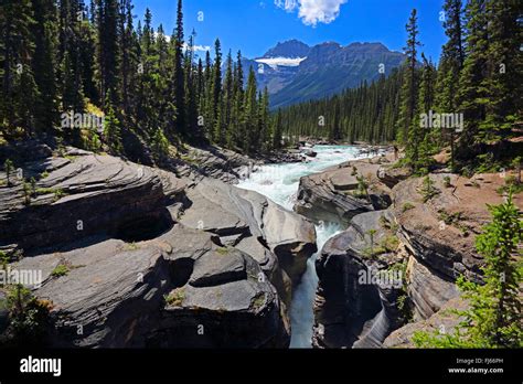 Mistaya Canyon Canada Alberta Banff National Park Stock Photo Alamy