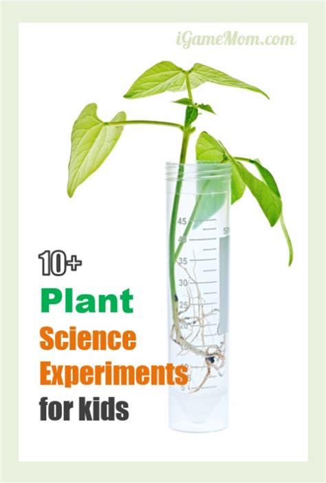 Check spelling or type a new query. 10 Plant Science Experiments for Kids