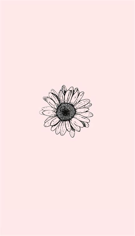 Aesthetic Flower Drawing Wallpapers Wallpaper Cave