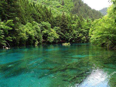Jiuzhaigou In Spring Weather Scenery Packing List And Travel Tips 2024