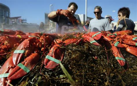The Enigma Behind Americas Freak 20 Year Lobster Boom