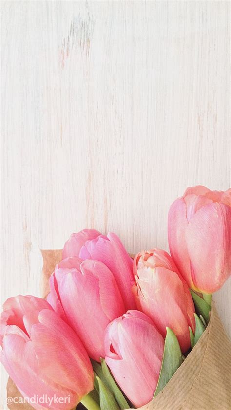 Cute Flower Tupils Pink With Wood Background Wallpaper You
