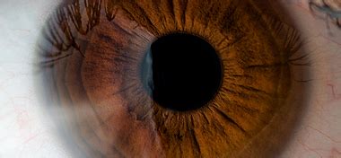 Ocular coloboma is relatively uncommon, affecting less than one in every 10,000 births. How Your Eyes Work: An Interactive Tour Of The Human Eye ...