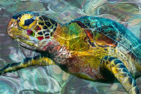Tropical Sea Turtle Painting By Jack Zulli Pixels