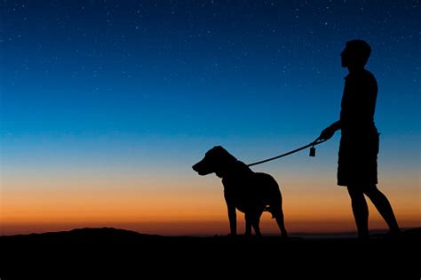 Man Walking Dog On A Clear Night Stock Photo Download Image Now Istock