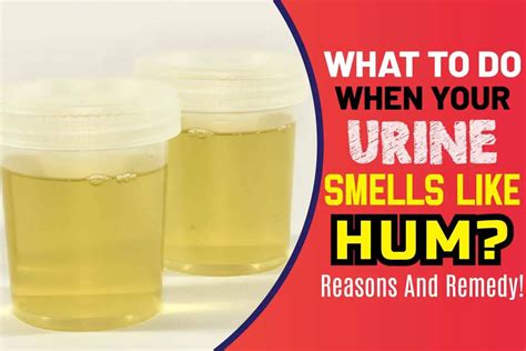 What To Do When Your Urine Smells Like Ham Reasons And Remedy