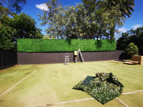 Residential Tennis Court Hedge