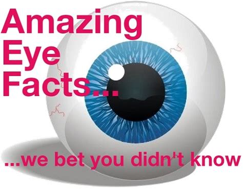 As optometrists we think that your eyes are the most miraculous creation on the planet. eyeball-gusa-blog-amazing-eye-facts | Wise Family Eye Center