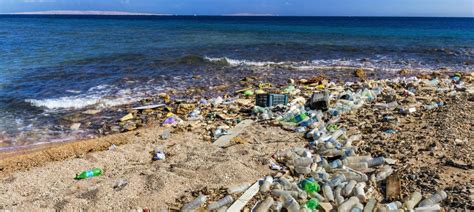 Plastic Pollution In The Ocean Grantham Institute