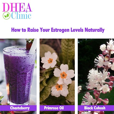 5 ways to i increase your estrogen levels naturally dhea for men and women