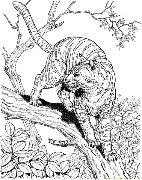 Animal printables page 4 free printable templates coloring pages firstpalette com. Coloring Pages Tiger new 55 (Animals > Tiger) - free ...