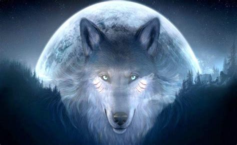 Blue Cute Blue Galaxy Wolf Wallpaper Image Page 1